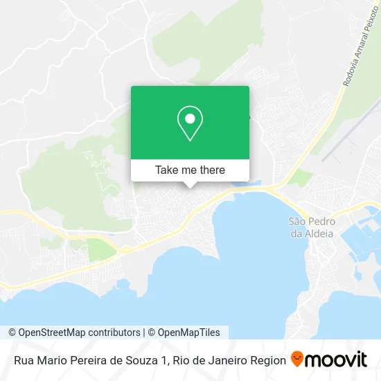 Rua Mario Pereira de Souza 1 map