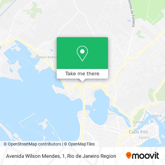 Avenida Wilson Mendes, 1 map