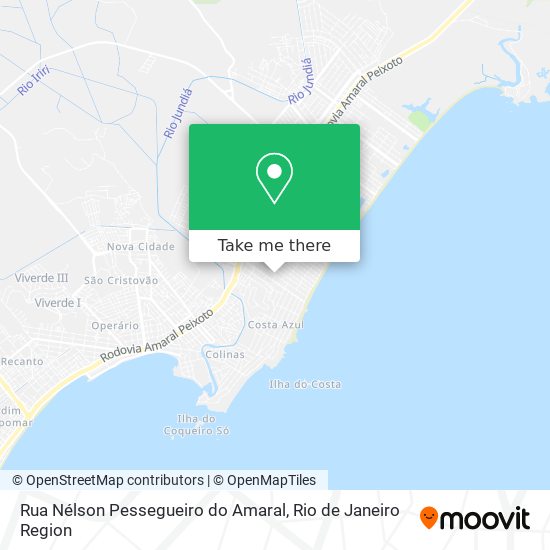 Rua Nélson Pessegueiro do Amaral map
