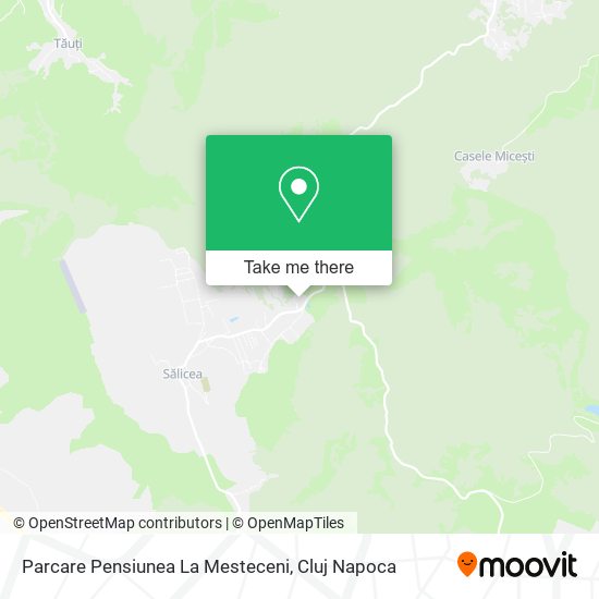 Parcare Pensiunea La Mesteceni map