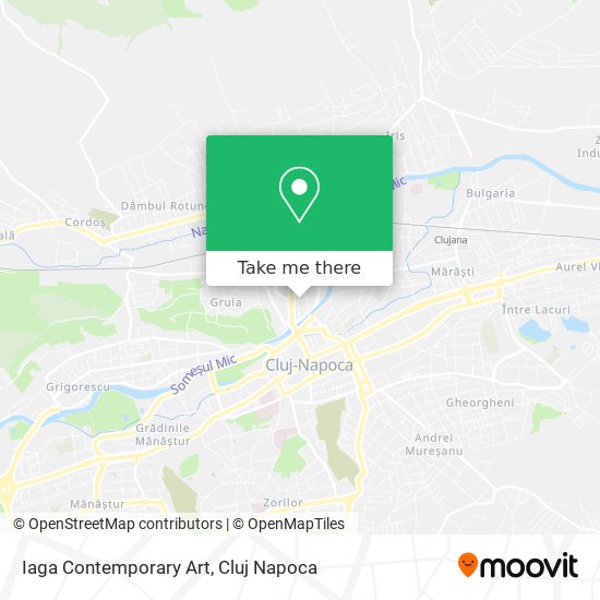 Iaga Contemporary Art map