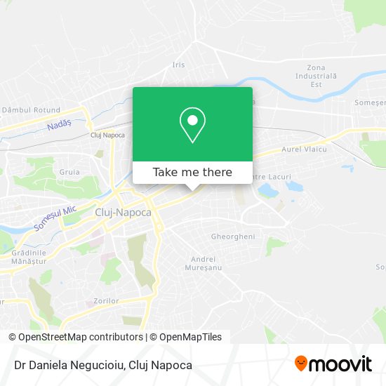 Dr Daniela Negucioiu map