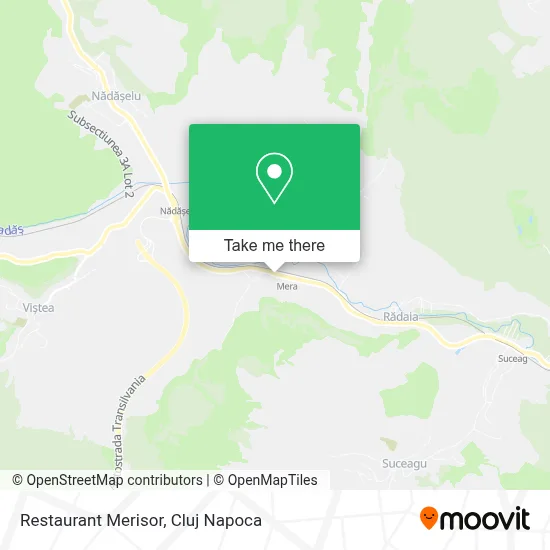 Restaurant Merisor map