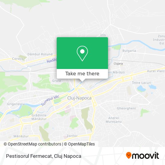 Pestisorul Fermecat map