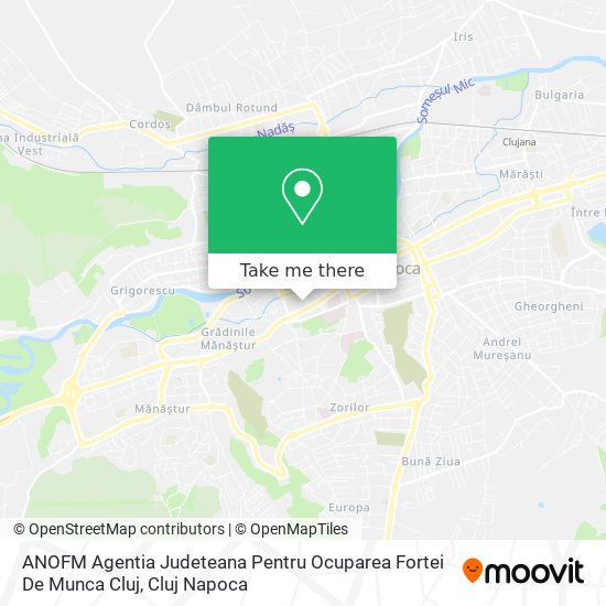 ANOFM Agentia Judeteana Pentru Ocuparea Fortei De Munca Cluj map