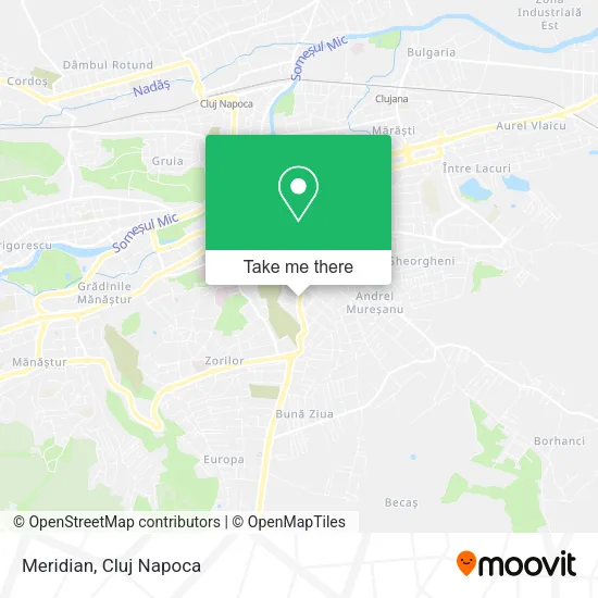 Meridian map