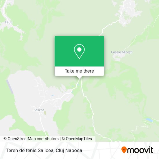 Teren de tenis Salicea map