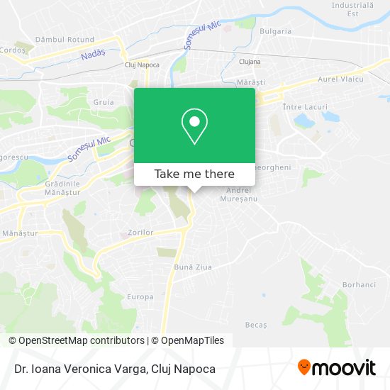 Dr. Ioana Veronica Varga map