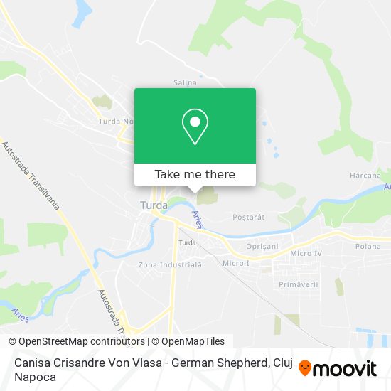 Canisa Crisandre Von Vlasa - German Shepherd map