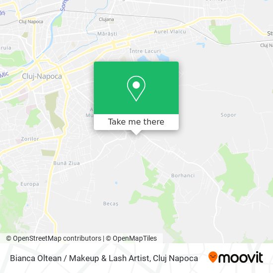 Bianca Oltean / Makeup & Lash Artist map