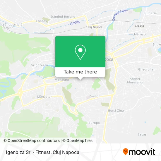Igenbiza Srl - Fitnest map
