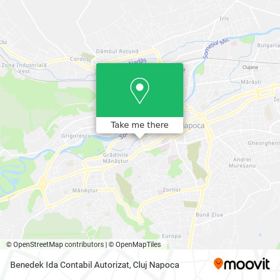 Benedek Ida Contabil Autorizat map