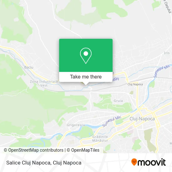 Salice Cluj Napoca map