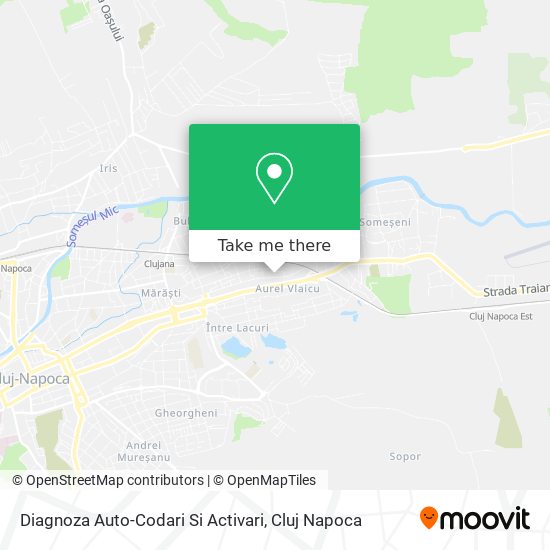 Diagnoza Auto-Codari Si Activari map