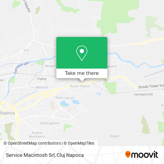 Service Macintosh Srl map