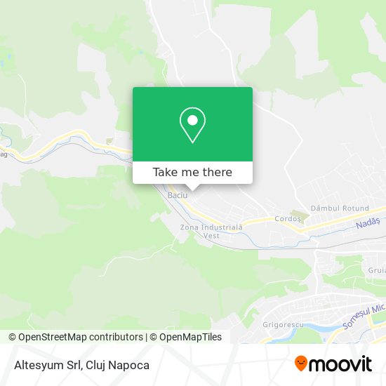 Altesyum Srl map