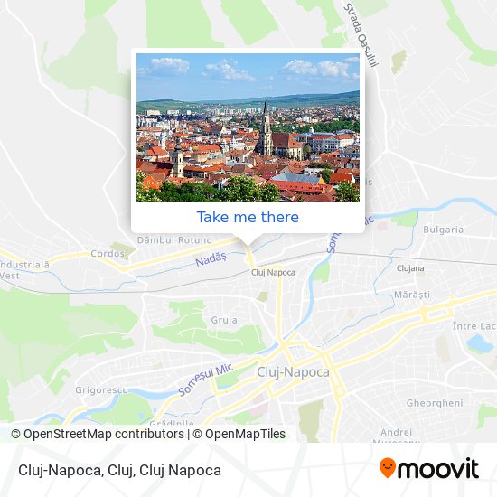 Cluj-Napoca, Cluj map