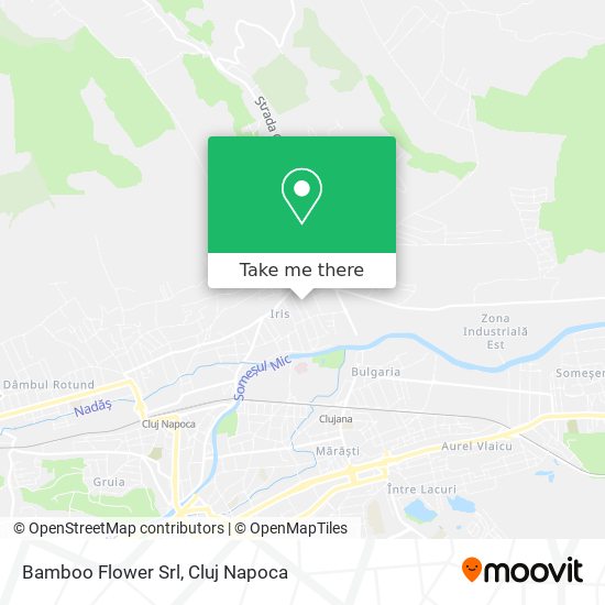 Bamboo Flower Srl map