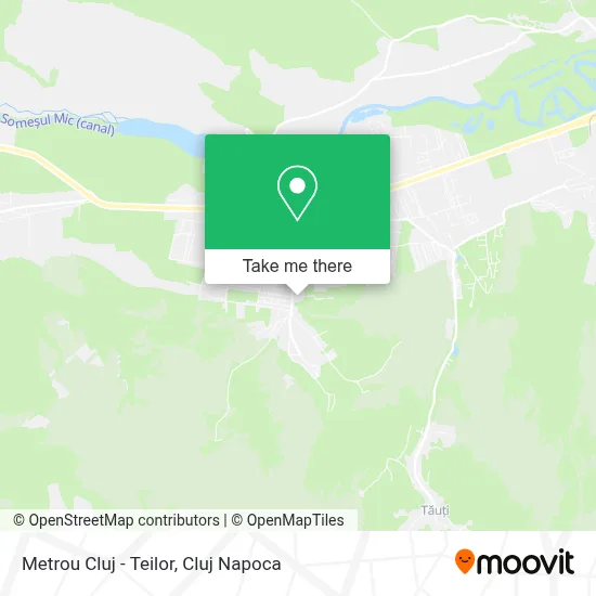 Metrou Cluj - Teilor map