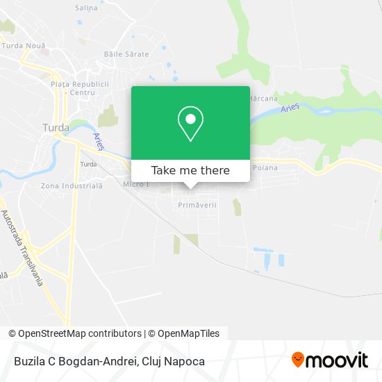 Buzila C Bogdan-Andrei map
