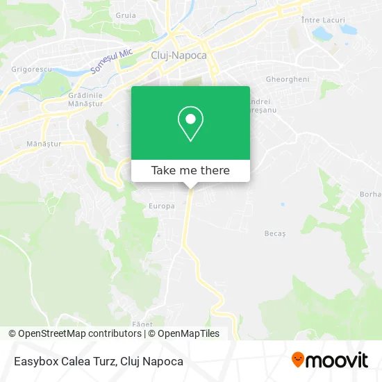 Easybox Calea Turz map