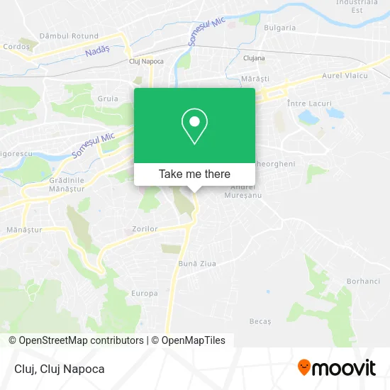 Cluj map
