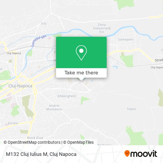 M132 Cluj Iulius M map