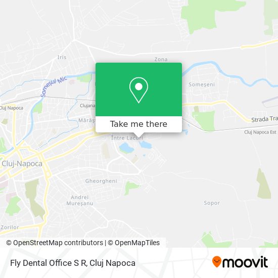 Fly Dental Office S R map