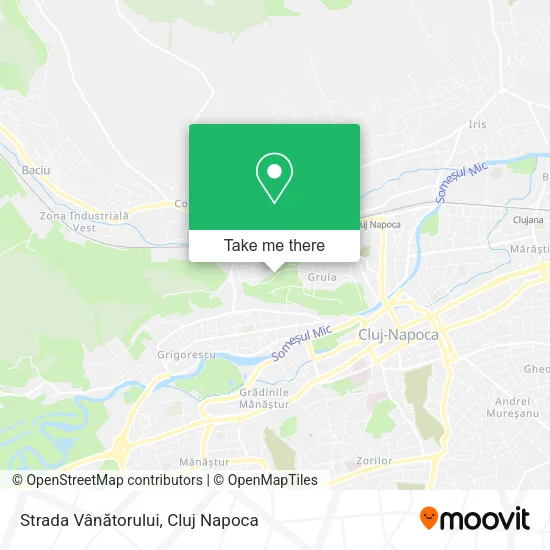 Strada Vânătorului map