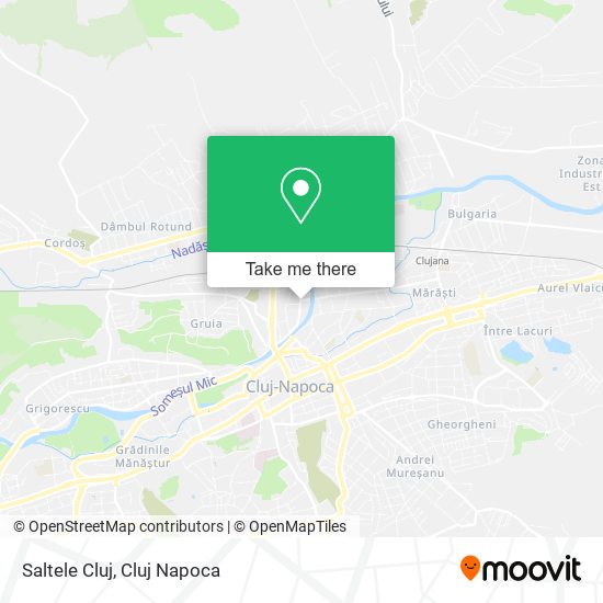 Saltele Cluj map