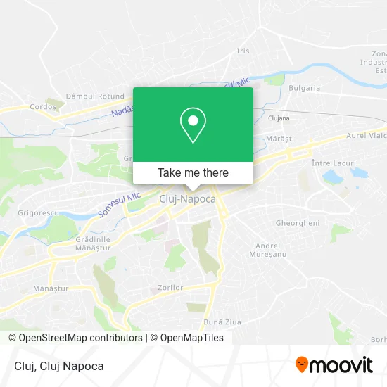Cluj map
