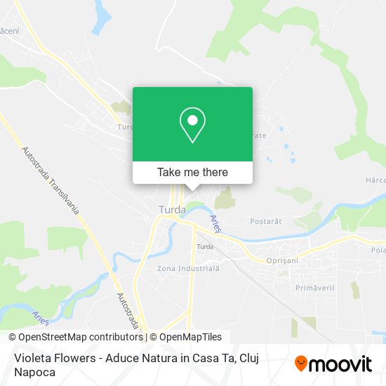 Violeta Flowers - Aduce Natura in Casa Ta map