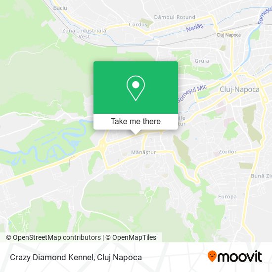 Crazy Diamond Kennel map