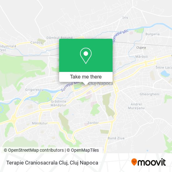 Terapie Craniosacrala Cluj map