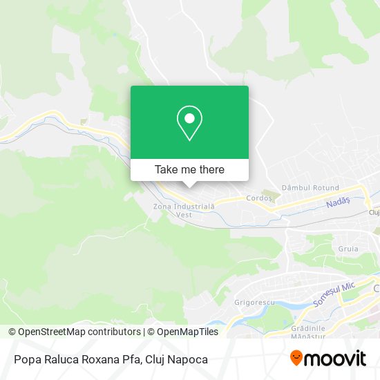 Popa Raluca Roxana Pfa map