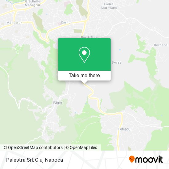 Palestra Srl map