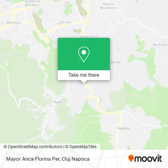 Mayor Anca-Florina Per map