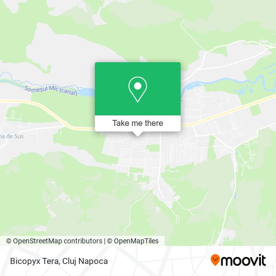 Bicopyx Tera map