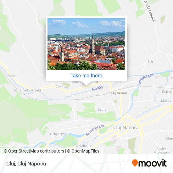 Cluj map