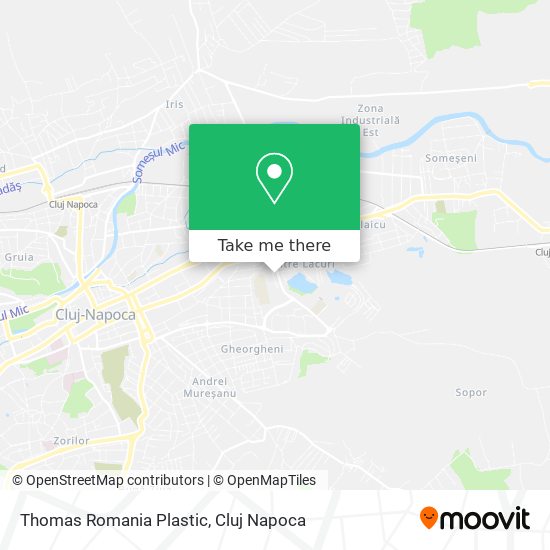 Thomas Romania Plastic map