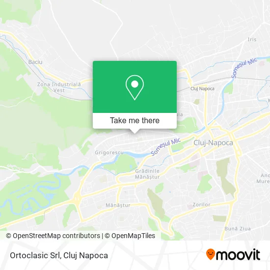 Ortoclasic Srl map