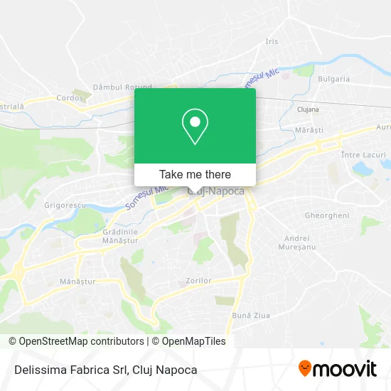 Delissima Fabrica Srl map