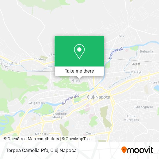 Terpea Camelia Pfa map