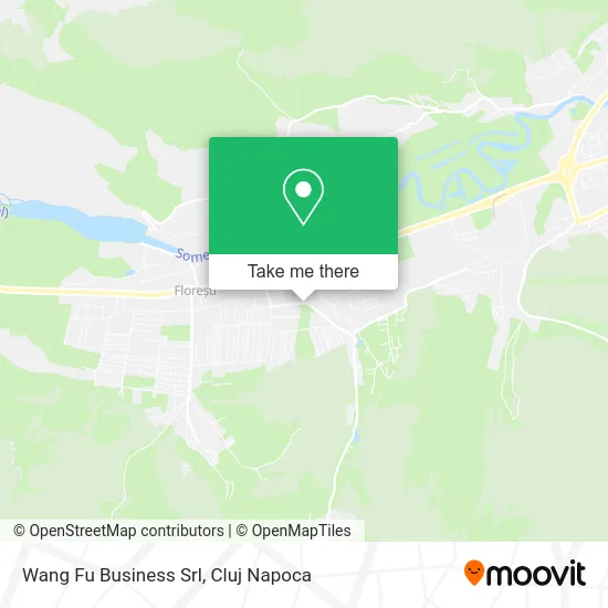 Wang Fu Business Srl map