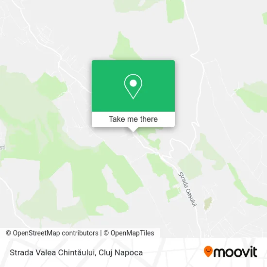 Strada Valea Chintăului map