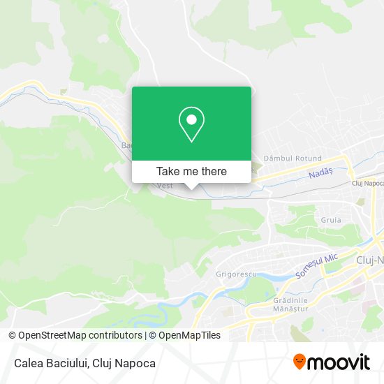 Calea Baciului map