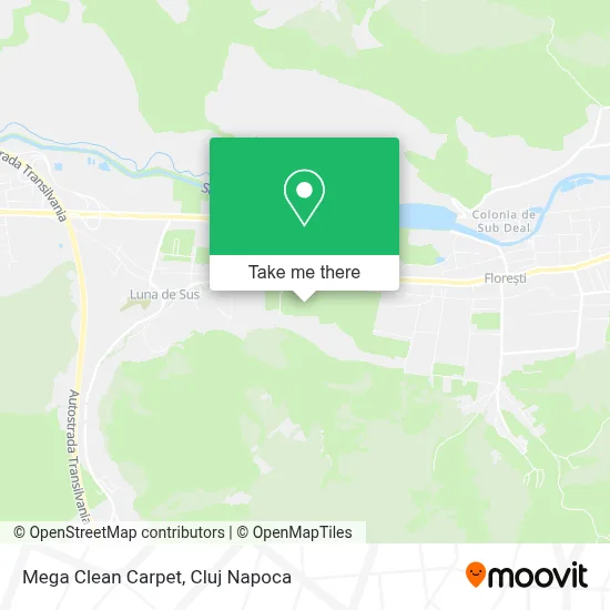 Mega Clean Carpet map