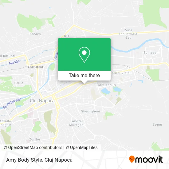 Amy Body Style map