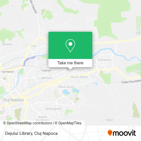 Dejului Library map