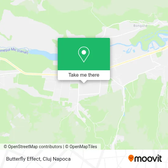 Butterfly Effect map